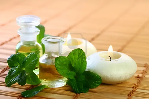 Oleo Para Masajes Relajantes Menta Alcanfor Mentol 1l Belgra