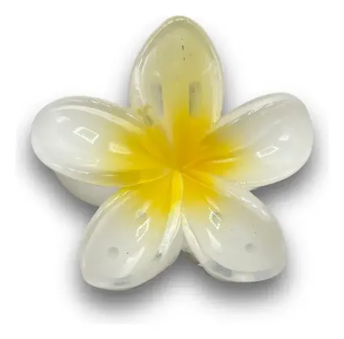 Set Pack Broches Hebilla Gancho De Pelo Flor Hawaiana X4