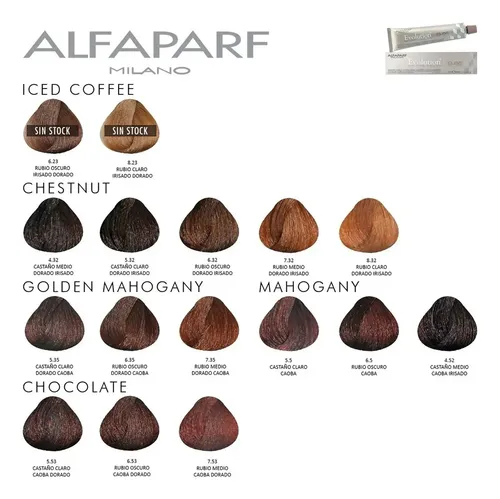 Alfaparf Evolution Kit X4 Tinturas 4 Oxidantes Coloración 3c