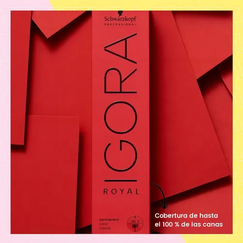 Igora Royal 9.5-1 Perla Coloración Schwarzkopf