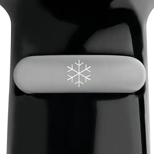 Secador De Pelo Revlon Essentials Ion Color Negro