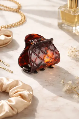 Broche Pelo Mediano Ganchos Clip Carey Frances Carey