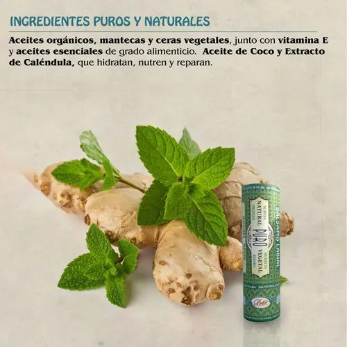 Bálsamo Labial Vegetal Boti-k Jengibre Menta