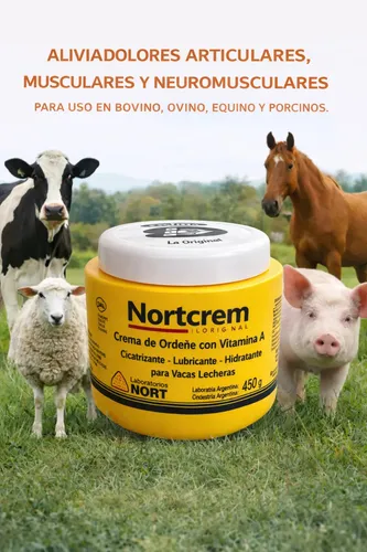 Crema Ordeñe Originl Nort X 250 Grs Pack X4unidades