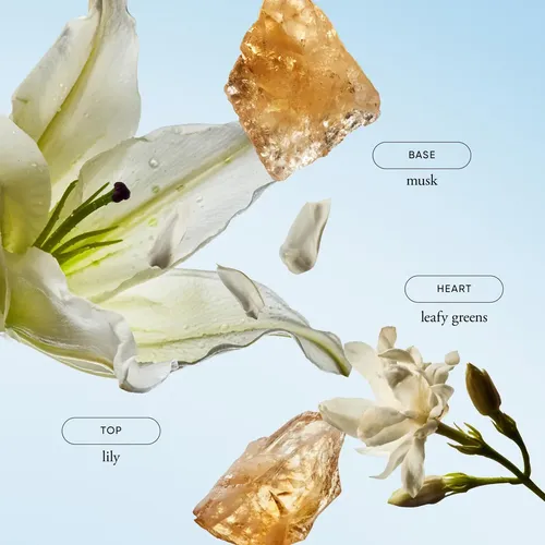 Perfume Philosophy Pure Grace Para Mujer Fragancia Fresca