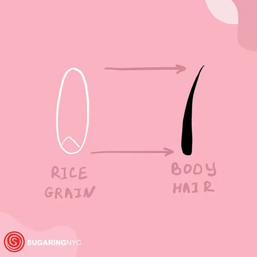Pasta Azucaradora Para Bikini Brasileña Sugaring Nyc, Tamaño