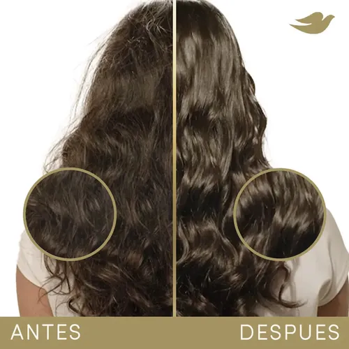 Máscara De Tratamiento Capilar Dove Bond Intense Repair 250g
