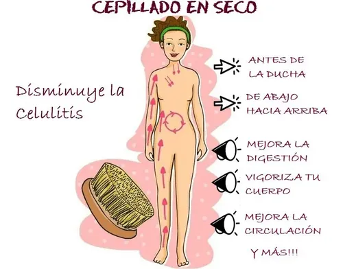 Cepillo Corporal Natural Para Celulitis Y Exfoliación