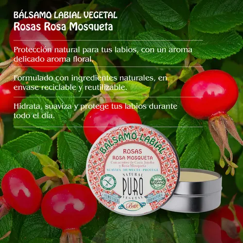 Bálsamo Labial en lata Rosa y Rosa Mosqueta Boti-k Puro