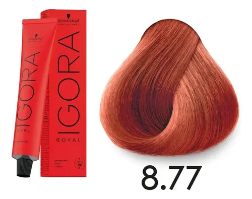 Tintura Igora Royal Schwarzkopf Tono 8.77 60g