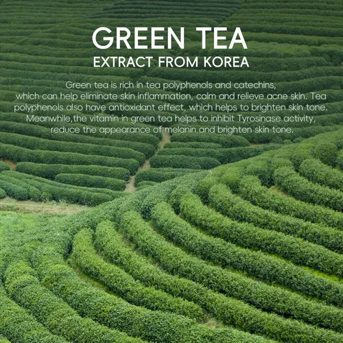 Fenyi Green Tea Essence Cream – Reparación De Acné 40g