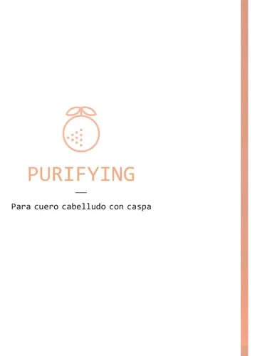 Shampoo Contra Caspa Purifying Morphosis Framesi 1litro