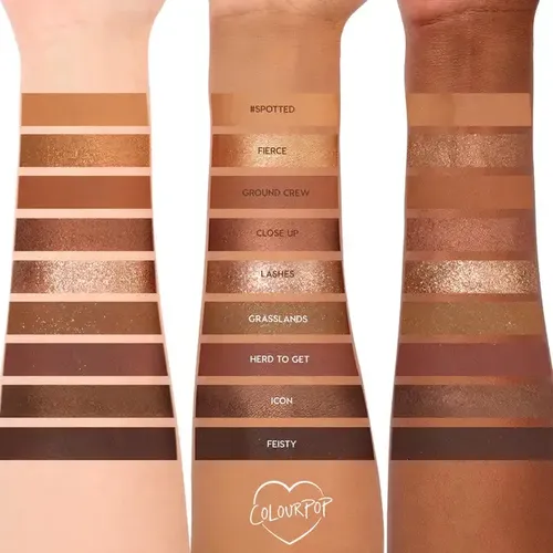 Sombra de ojos ColourPop paleta 9 tonos wild child mate,metálico,mate brillante,con brillo