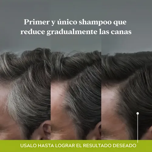 Shampoo Just For Men Control GX Cobertura de Canas 118ml