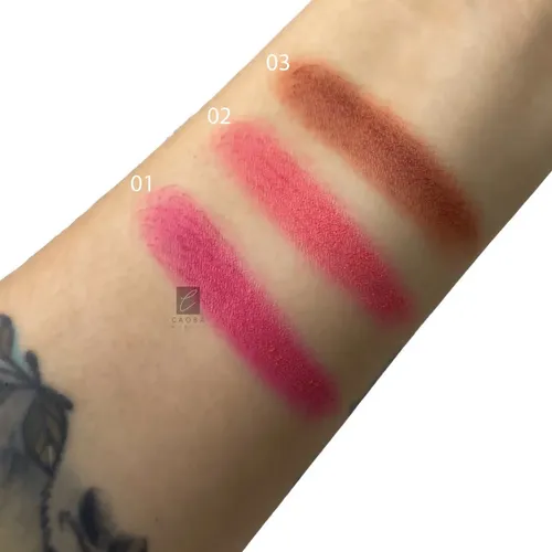 Rubor Chic In Pink Blush Pink 21 Tono Del Maquillaje 02