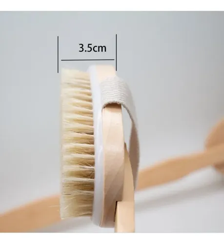 Cepillo Corporal Exfoliante Cuerpo Piel Masaje Circulación/