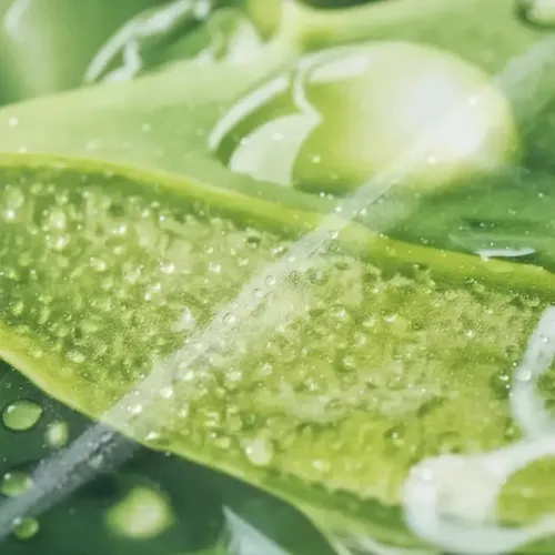 Mascarilla Facial Hidratante Aloe Vera Sadoer Tipo de piel Todo tipo de piel