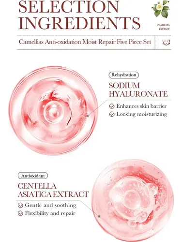 Set De Cuidado Facial Bioaqua Camelia 5 Piezas 425g