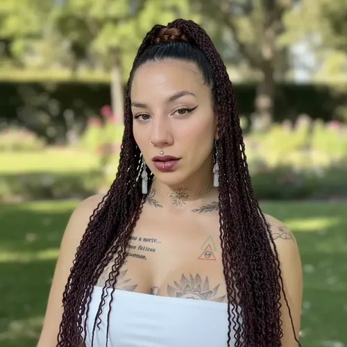 Ponytails Con Trenzas Finas. Coleta Postizo Extensiones