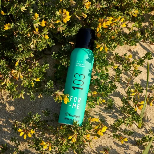 Framesi 103 Refresh Me Dry Shampoo Seco X150ml