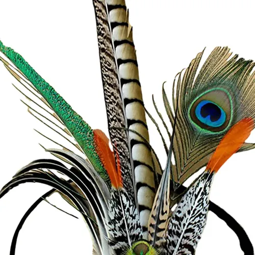 . De Plumas, Diadema, Banda For El Pelo, Vestido, For Fs7