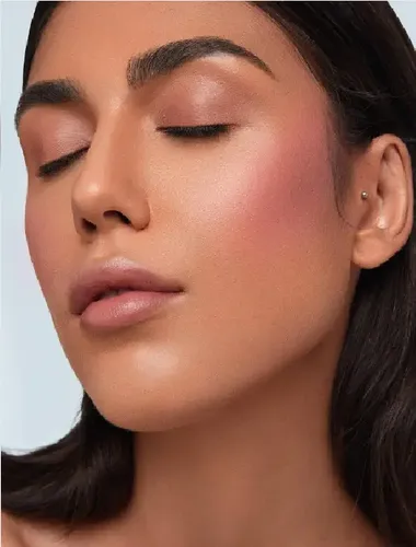 Sheglam Rubor Blush Colorete En Barra Alto Pigmento – Tono Del Maquillaje Wild Love