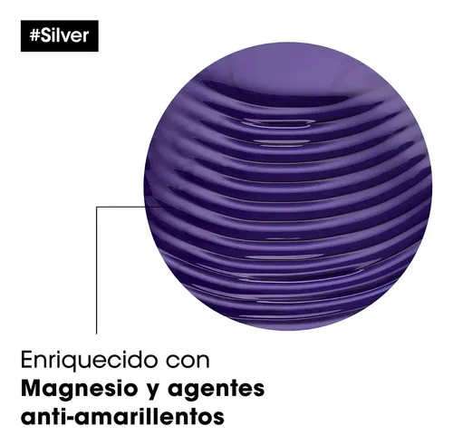 Shampoo Cuidado Canas L’oréal Professionnel Silver 300ml