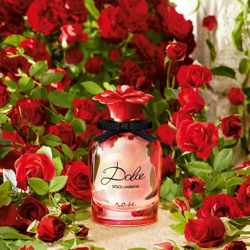 Perfume Dolce & Gabbana Dolce Rose Floral Frutal 75ml Spray Mujer