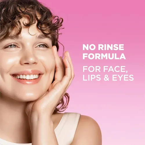 Agua Limpiadora Micelar Garnier All-in-1 Para Maquillaje