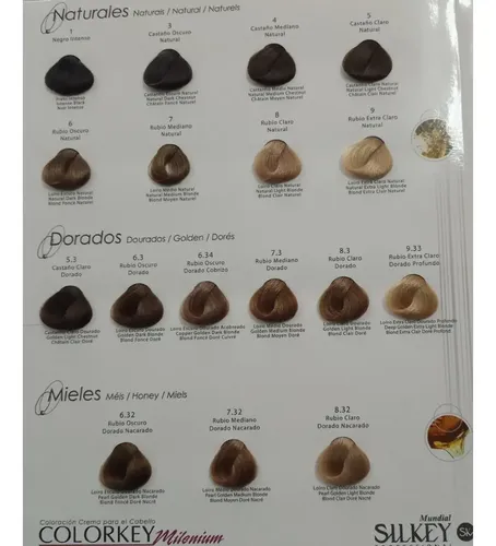 Silkey Colorkey Milenium Tintura X 120 G