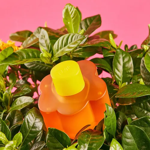 Perfume Mujer Flor Agatha Ruiz De La Prada Edt 100ml