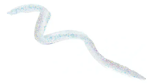 Delineador Naj Oleari Sparkling Queen Mascaliner 01 Glitter