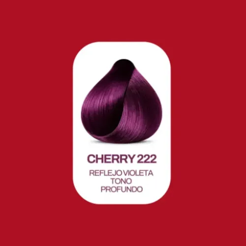 Fidelite | Color Master Coloracion Premium Pomo Tintura 60gr Tono 222 cherry