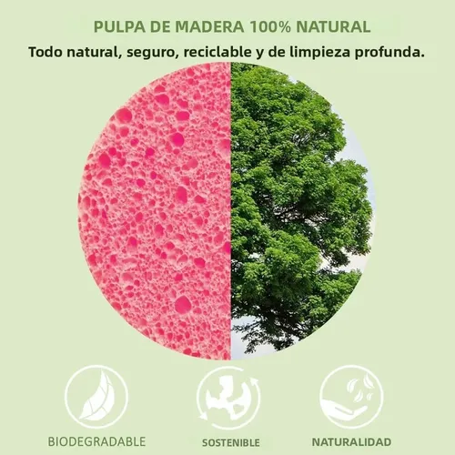 Esponja Facial Comprimida De Pulpa De Madera X50