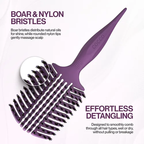 Cepillo De Pelo Cocco Aura Vent Purple De Doble Curvatura