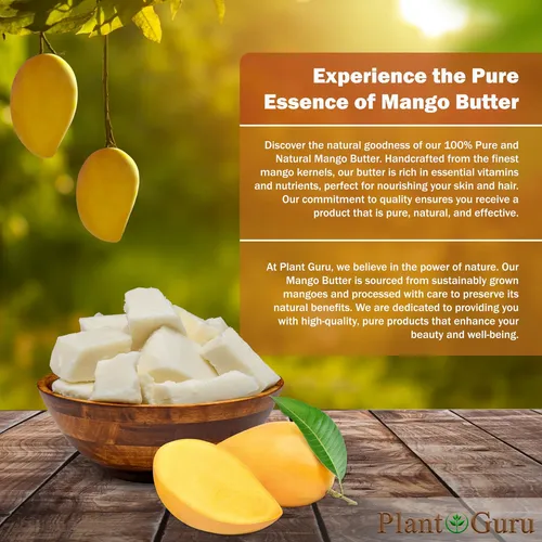 Manteca De Mango Plant Guru 907 G, 100% Pura Y Natural Sin R