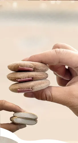 Set De Esponjas De Maquillaje Suave De Doble Uso, Sin Látex,