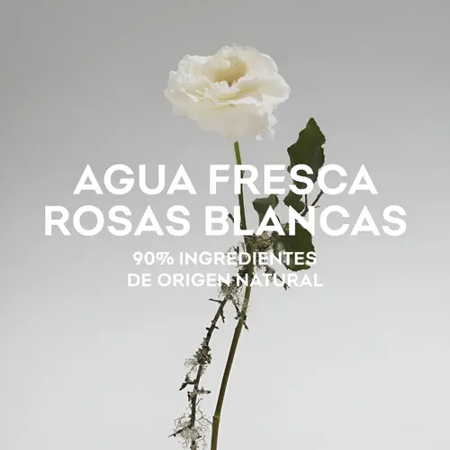 Agua Fresca De Rosas Blancas Adolfo Dominguez Perfume X 120m