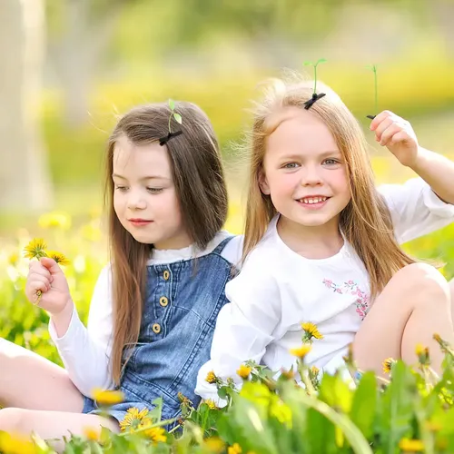 100 Piezas Broches Cabello Planta Para Cabello De Niños