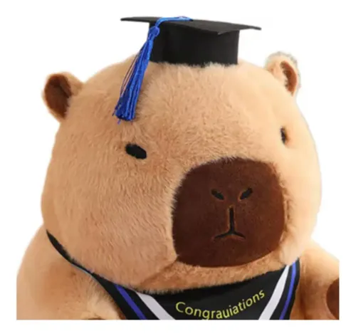 Muñeca De Peluche Con Gorro De Graduación, Regalo De M