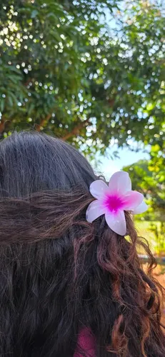 Pack 12 Broches Pinzas Pelo Flor Hawaiianas Hibiscus Bali