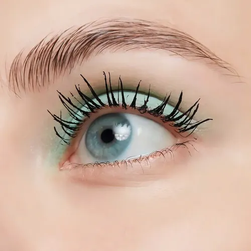 Lash Dry Shampoo Mascara Refresher