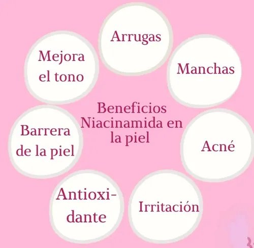 Serum Niacinamida Con Hialurónico Y Vit C Piel Firme Fresca Cualquier Biotipo Día/noche
