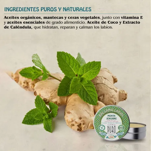 Bálsamo Labial Lata Jengibre Menta Boti-k Puro