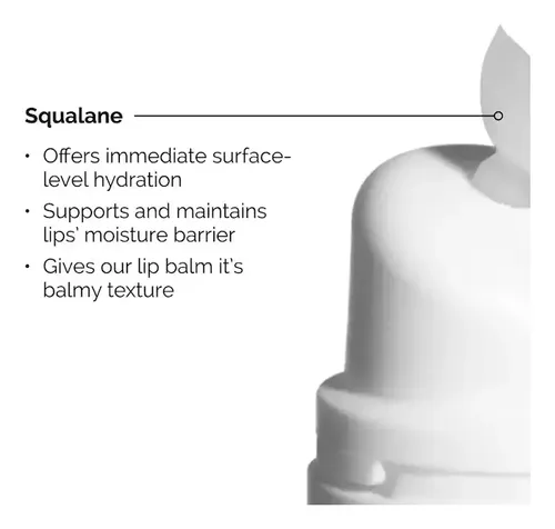 The Ordinary The Lip & Lash Set Lash & Brow Serum + Lip Balm
