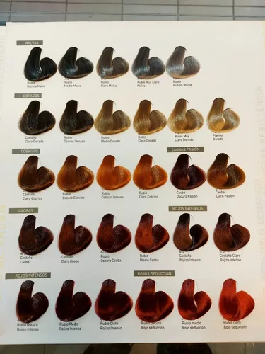 6 Tinturas Exiline Intensive Color Argán Oil X 60gr. C/u