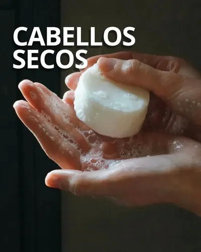 Acondicionador Sólido Bel Lab Cabello Seco