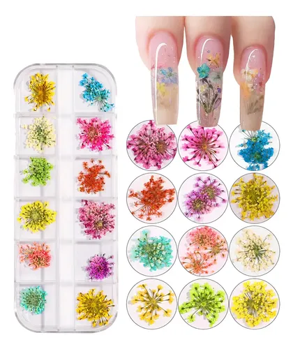 — ! Decoración De Uñas Con Flores Secas Naturales, *