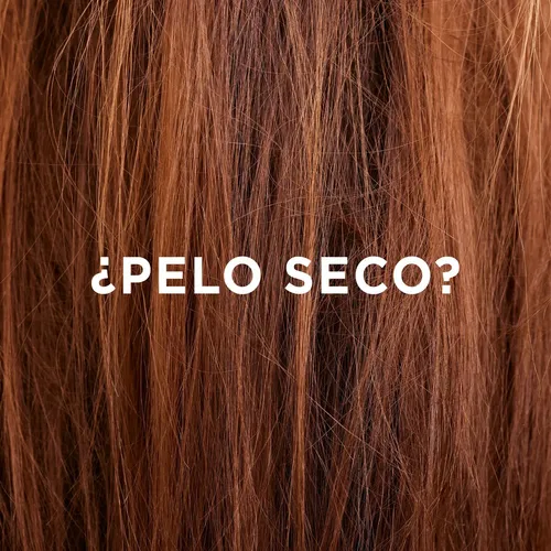 Shampoo Fortalecedor Pantene Pro-V Miracles Hidrata y Fortalece 700 ml