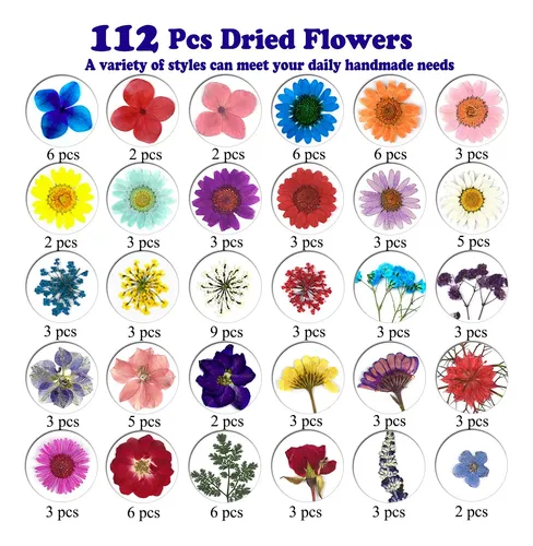 Flores Secas Prensadas Lucisky 152 Piezas Para Resina, Uñas